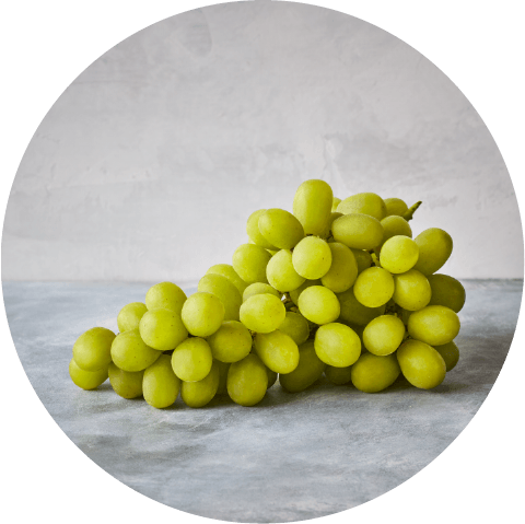 Green Seedless Grapes